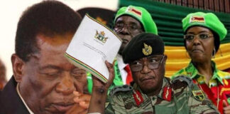 Constitutional Amendment Bill: General Chiwenga breathes fire as President Mnangagwa plays a ‘Joker’