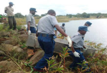 Guruve Headman Brutally Murdered, Dumped in Dam Just Before Being Installed as New Chief, 5 Family Members Arrested