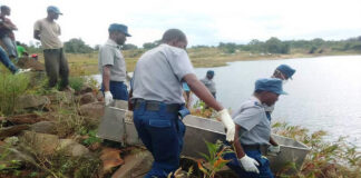 Guruve Headman Brutally Murdered, Dumped in Dam Just Before Being Installed as New Chief, 5 Family Members Arrested