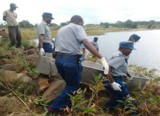 NPA Driver Murdered and Dumped in Lake Chivero: Was Shingirayi Chikosha Silenced for What He Knew About High-Profile Cases?