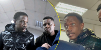 The Mugabe Plea Deal: Is Bellarmine Chatunga Being Sacrificed or Saved by a Secret Agreement?