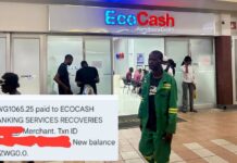 Massive EcoCash ‘Hacker’ Network Unearthed: How 11 Chitungwiza Scammers Stole US$61,000 While You Were Sleeping (SEE ALL NAMES)