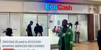 Massive EcoCash ‘Hacker’ Network Unearthed: How 11 Chitungwiza Scammers Stole US$61,000 While You Were Sleeping (SEE ALL NAMES)