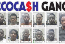 Faces and personal details of 11 Chitungwiza Ecocash Hackers who stole your US$61,000: This is how they spent the loot