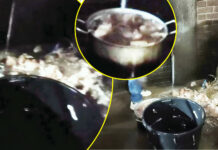 YOU ARE EATING DOG FOOD: Harare Restaurant CAUGHT Serving PET FOOD to Humans? (PICS)