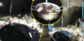 YOU ARE EATING DOG FOOD: Harare Restaurant CAUGHT Serving PET FOOD to Humans? (PICS)