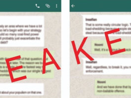76 pages of Lula lula Whatsapp Chats LEAKED: ZESA Bosses CAUGHT on Tape in “Sex for Jobs” SCANDAL!