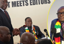 The Night of Long Knives: Inside the Secret War That Toppled Information Minister Jenfan Muswere