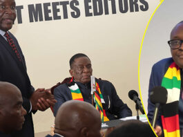 The Night of Long Knives: Inside the Secret War That Toppled Information Minister Jenfan Muswere