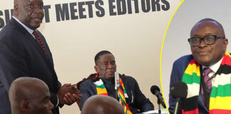 The Night of Long Knives: Inside the Secret War That Toppled Information Minister Jenfan Muswere