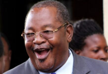 Blood and Hippo Meat: The Strange ‘Rituals’ and Hidden Messages at Zanu PF Kingmaker Obert Mpofu’s Homestead