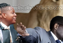 The MUGABES AT IT AGAIN: Chatunga Mugabe arrested for shooting a guard in South Africa