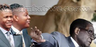 The MUGABES AT IT AGAIN: Chatunga Mugabe arrested for shooting a guard in South Africa