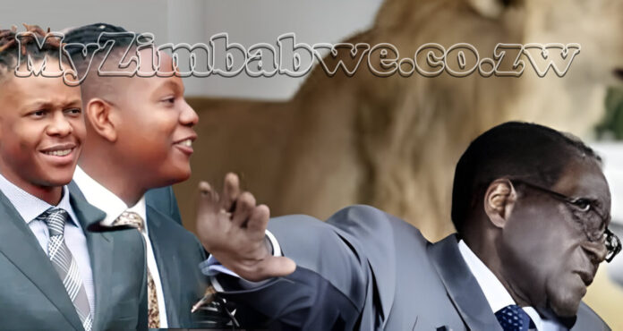 robert junior-chatunga-mugabe-NO