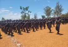 No Certificate, No Job: The Secret Plot to Force Every Graduate into the Youth Service?