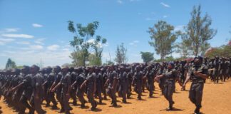 No Certificate, No Job: The Secret Plot to Force Every Graduate into the Youth Service?