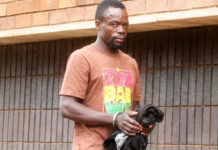 US$2.7 Million Bank Robbery: Family Fist Fight Over Stolen Millions Ends in Dramatic Arrest of Zimbabwean Cash Heist Mastermind