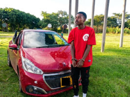 Veteran Thief Steals Car and $1,800 Just 1 Week After Being Forgiven by President Mnangagwa