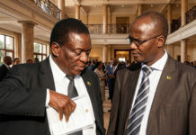 Jonathan Moyo’s Masterplan? Leaked Tapes, Deadly Betrayals, & $450K Scandal: Dark Secrets Behind Mnangagwa’s ‘ED2030’ Push!