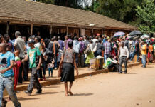 Passport Cartel Exposed: The Secret US$300 ‘Fast-Track’ Fee That Never Reaches Minister Mthuli Ncube’s Department