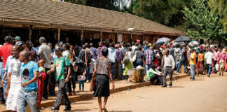 Passport Cartel Exposed: The Secret US$300 ‘Fast-Track’ Fee That Never Reaches Minister Mthuli Ncube’s Department