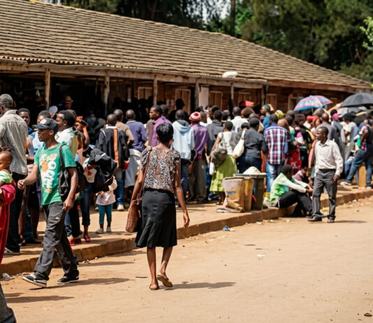 Passport Cartel Exposed: The Secret US$300 ‘Fast-Track’ Fee That Never Reaches Minister Mthuli Ncube’s Department