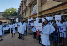 The Chief Medical Officer ‘Vacancy’: Why No One Wants This Job at Mpilo Hospital