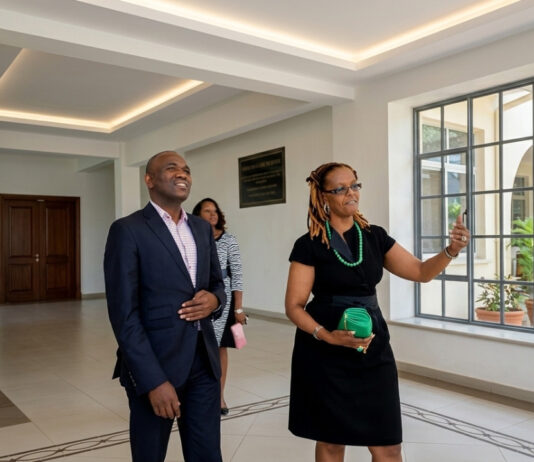 The Untouchable Mine: Why The High Court Instructed EMA To Stay Away from Arcturus Gold Mine