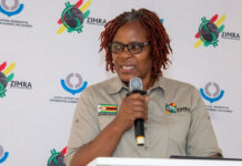 Tax Inspectors Without Borders: Powerful Zimbabweans Fight to Protect Their Stolen Wealth as Global Investigators Close In!