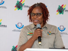 Tax Inspectors Without Borders: Powerful Zimbabweans Fight to Protect Their Stolen Wealth as Global Investigators Close In!