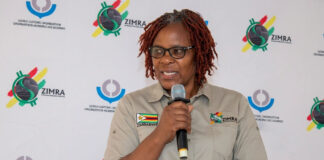 Tax Inspectors Without Borders: Powerful Zimbabweans Fight to Protect Their Stolen Wealth as Global Investigators Close In!