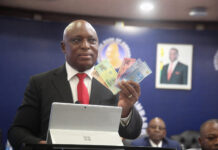 ZiG’s “Stability” Secret: Why Zimbabweans Are Suddenly Hoarding the New Currency