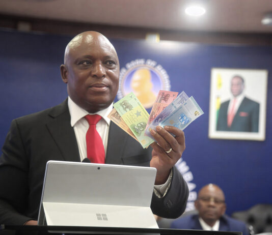 ZiG’s “Stability” Secret: Why Zimbabweans Are Suddenly Hoarding the New Currency