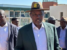 The ‘Tagwirei Factor’: Unpacking Zimbabwe’s Mining Secrets and Why RioZim Lost Its 40-year License