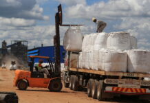 Lithium Looting: The Real Reason Government Rushed To Ban All Raw Mineral Exports