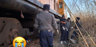 Horror accident: Mberengwa teenager ‘beheaded and legs chopped off’ by unforgiving goods train