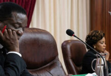 President Mnangagwa SUED for violating the constitution… Jessie Majome’s saga opens can of worms