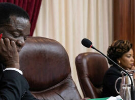President Mnangagwa SUED for violating the constitution… Jessie Majome’s saga opens can of worms