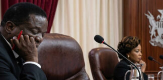 President Mnangagwa SUED for violating the constitution… Jessie Majome’s saga opens can of worms