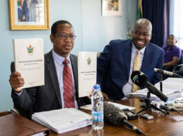 BAD NEWS to all informal traders over IMF “Deal” Delusion: The Secret Conditions That Will Change Your Life Forever