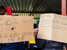 The Damning Flash Toyi-Toyi Demonstration by Nurses: What the Government Doesn’t Want You to Know