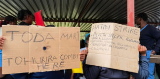 The Damning Flash Toyi-Toyi Demonstration by Nurses: What the Government Doesn’t Want You to Know