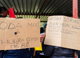 The Damning Flash Toyi-Toyi Demonstration by Nurses: What the Government Doesn’t Want You to Know