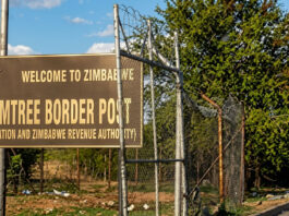 Firearm Found at Plumtree Border Post: How Illegal Guns are Flooding Zimbabwe as ED2030 Agenda Turns Dangerous