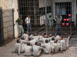 Many years in prison for 4 men from Gwanda, Zhombe, Bulawayo and Mberengwa after enjoying illegal lula lula