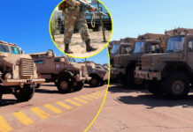 Minister Leon Schreiber’s Shock Border Strategy: The Real Reason South Africa Is Using War Machines at Beitbridge Border