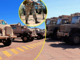 Minister Leon Schreiber’s Shock Border Strategy: The Real Reason South Africa Is Using War Machines at Beitbridge Border