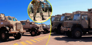 Minister Leon Schreiber’s Shock Border Strategy: The Real Reason South Africa Is Using War Machines at Beitbridge Border