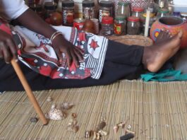 Chinhoyi Gardener Kills His Bosses: Elderly Couple Murdered at Midnight as Sangoma Reveals Shocking Details!