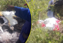 THE ZAKA PLANE CRASH MYSTERY: What the Authorities Aren’t Telling Us About the Fatal Flight